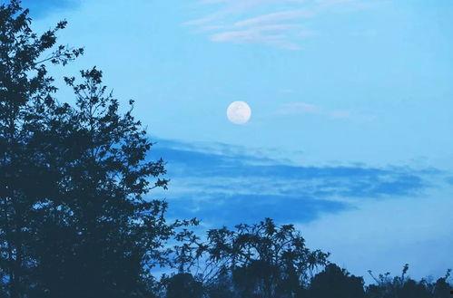 明月今夜至何乡,探寻诗意旅程的归宿